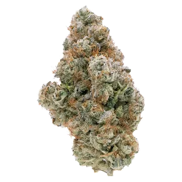 Product image of Galactic Guava - Northern Canna - Dried Flower