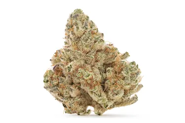 Product image of El Jefe - LowKey by MTL Cannabis - Dried Flower