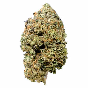 Product image of Pink Goo - Pistol and Paris - Dried Flower
