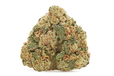 Product image of Electric Lotus Smalls - BC Smalls - Dried Flower