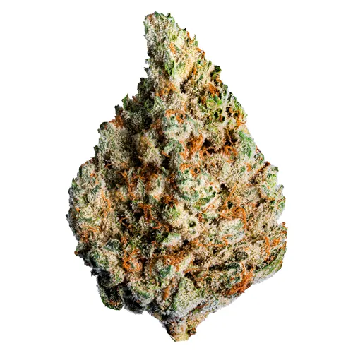 Keylime Kush - Lotus - Dried Flower