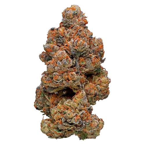 Product image of Peach Queen - Mendo Select - Dried Flower
