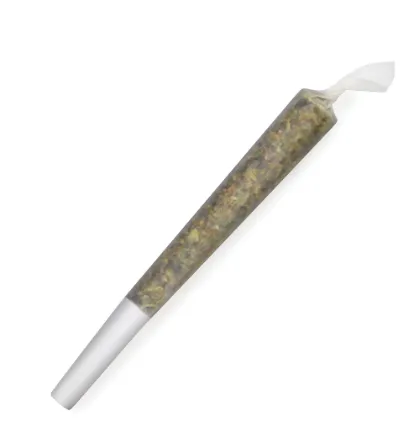 Sensi Star - Spinach - Joints