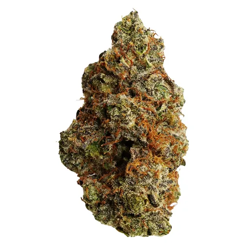 Johnny Cage - FLHIGH - Dried Flower