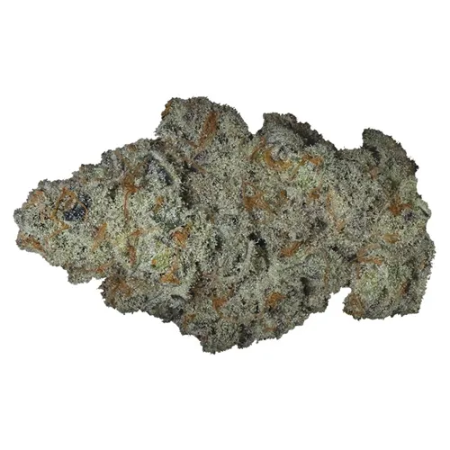 Product image of Bamboo Honey - Full Sesh - Dried Flower