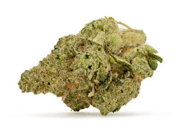 Product image of Gas Money - Dealr - Dried Flower