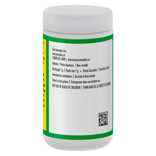 Mini Shinken - Waza - Dried Flower