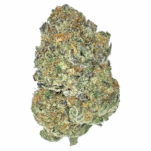 Apricot Frost & Orange Squeeze - Partake - Variety Flower