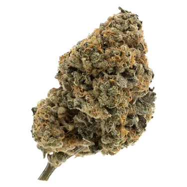 Product image of Kandy Cake - FIGR - Dried Flower