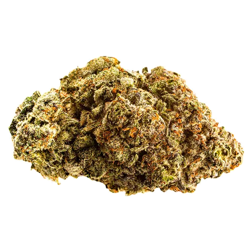 Product image of Apes in Space - Phant Craft - Dried Flower