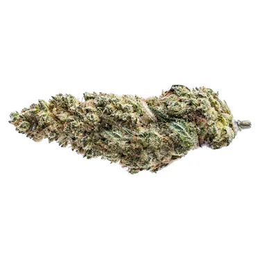 Product image of Blue Dream #16 - Pure SunFarms - Dried Flower