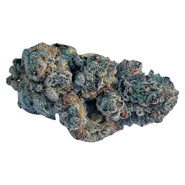 Product image of Cosmic Cherry - Valhalla Flwr - Dried Flower