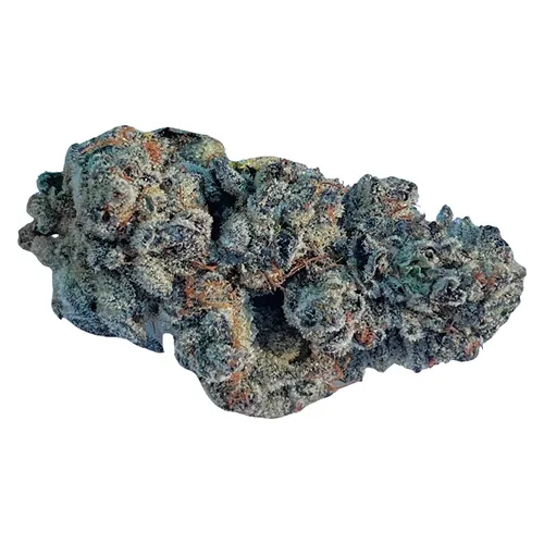 Cosmic Cherry - Valhalla Flwr - Dried Flower
