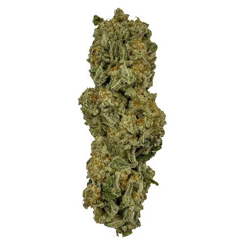 Mach 1 - Just Kush - Dried Flower