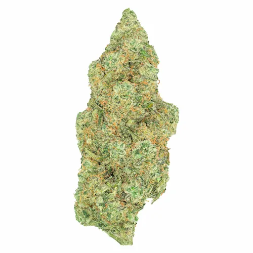 Critical Diesel - Greybeard - Dried Flower