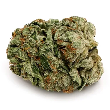 Product image of Pink Kush - Pure SunFarms - Dried Flower
