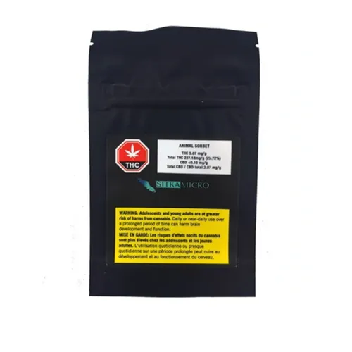 Animal Sorbet - Sitka WeedWorks Micro Collection - Dried Flower