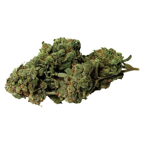 Product image of Double Donny - Bambu Select - Dried Flower