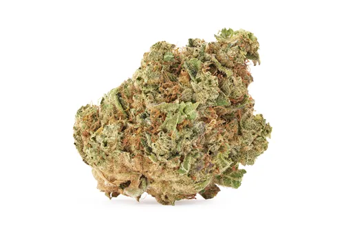 Product image of Rotterdam Indica - Highly Dutch - Dried Flower