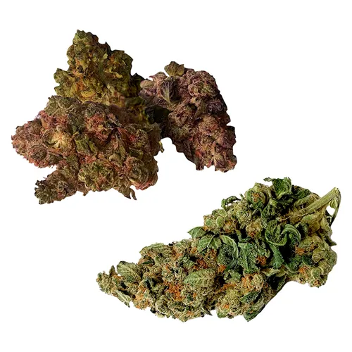 ON + OFF Craft Flower Variety Pack - THINKER CLASSICS - Dried Flower