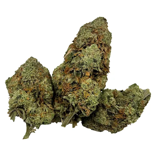 Purple Punch Mints x Orange Kush Cake Mixed Pack - JOI Botanicals - Variety Flower