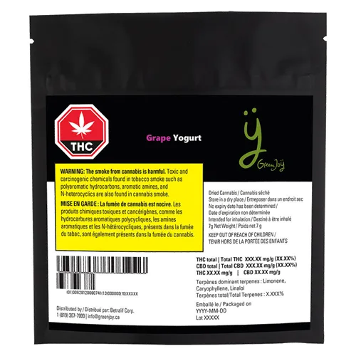Grape Yogurt - Green Joy - Dried Flower