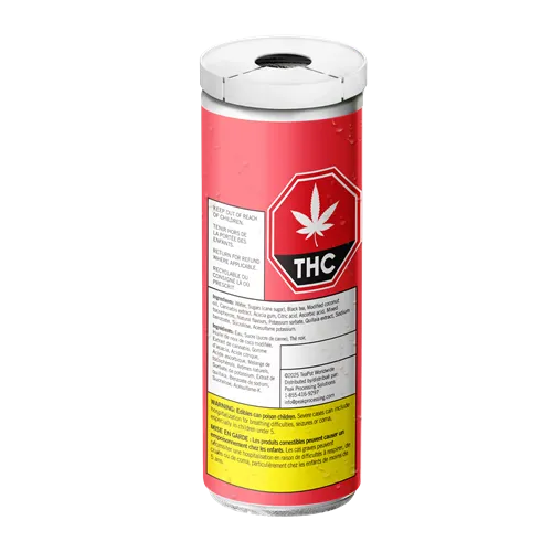 CBG + Rosin Raspberry Black Tea - Teapot - Minor Cannabinoid Drinks