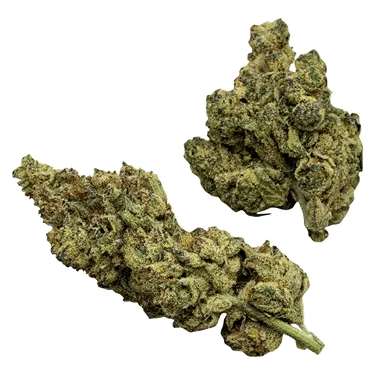 Product image of The Conspiracy Series - Rosin Heads - Dried Flower