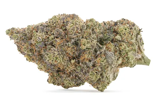 Flavours - Pistol and Paris - Dried Flower