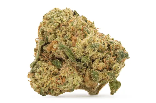 Product image of Ice Cream Rntz - Good Supply - Dried Flower