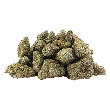 Product image of Bazooka - BC OZ - Dried Flower