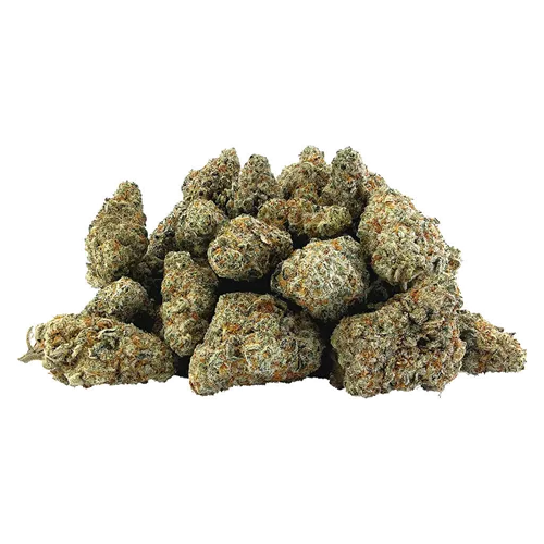 Product image of Bazooka - BC OZ - Dried Flower