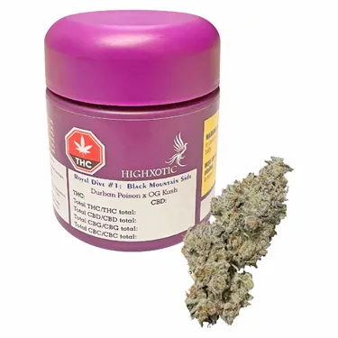 Product image of Royal Dive #1: Black Mountain Side - HighXotic - Dried Flower