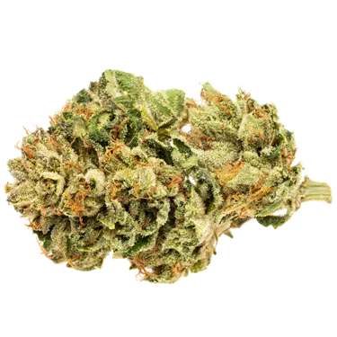 Product image of Unplug - Solei - Pre-Ground Blend