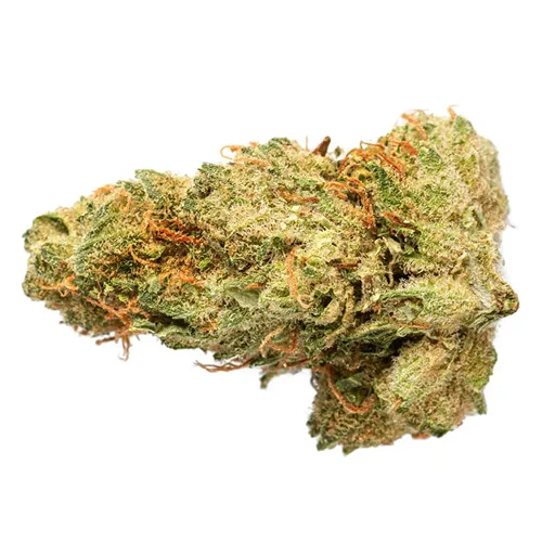 Product image of Sativa - Grasslands - Dried Flower