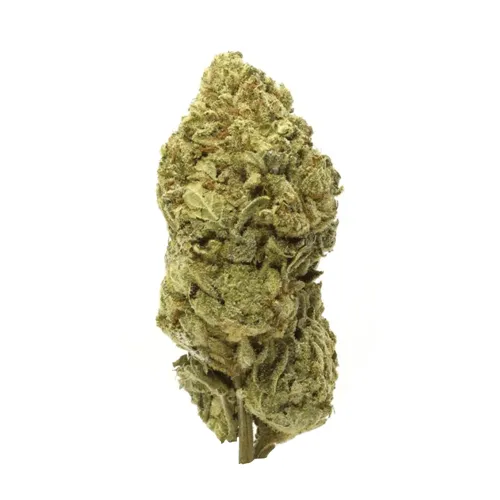 Product image of Campfire Gas - Camper Van Cannabis - Dried Flower
