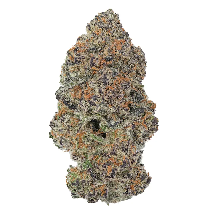 Product image of Grape Gotti #12  - Coterie - Dried Flower