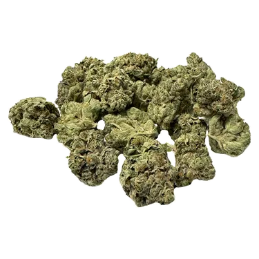 Product image of Duck Hunter Smalls - Buckshot Buds - Dried Flower