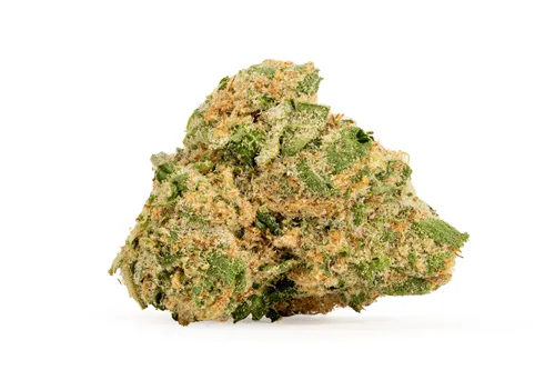 Product image of Tahiti Punch Craft Smalls - Sitka Legends - Dried Flower