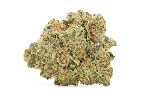 Trainwreck - Station House - Dried Flower