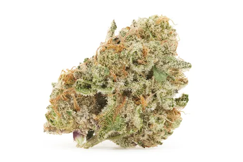 Product image of Gummy Bunz - Salt Spring Magic - Dried Flower