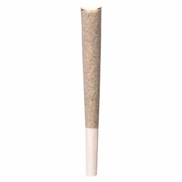 Product image of Rainbow P - BLK MKT - Joints