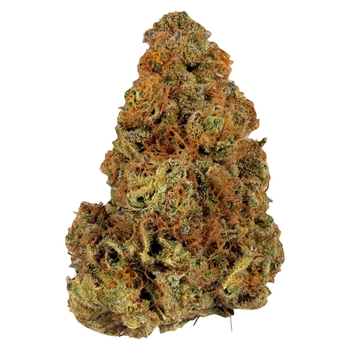 Product image of Gassy Treasure - Weed Me - Dried Flower