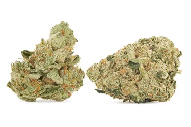 Product image of CombOz: Pink Kush Mints + Jet Fuel Pie - Big Bag O' Buds - Variety Flower