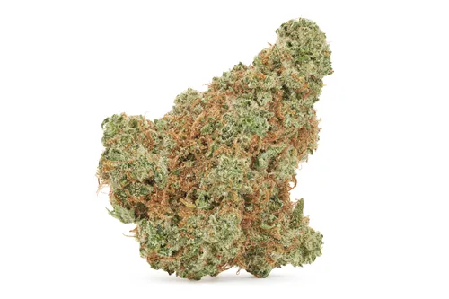 Country Club - Woody Nelson - Dried Flower