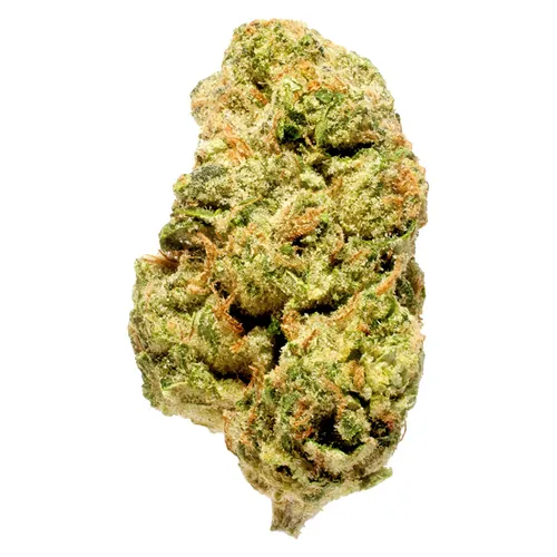 Blanh Indica - Bleuh - Dried Flower