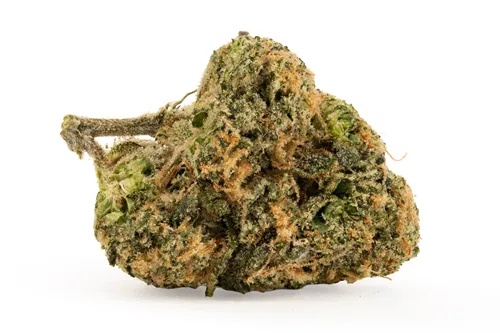 Product image of M.Tai X Jungle Cake LTO - Carmel - Dried Flower