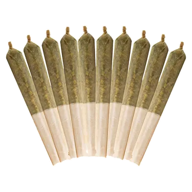 Product image of Ethos Glue - Buddy Blooms - Joints