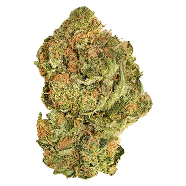 Product image of Brand New Buds - Good Supply - Dried Flower