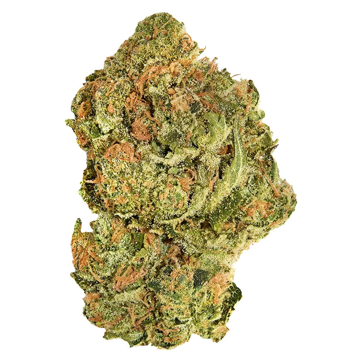 Product image of Brand New Buds - Good Supply - Dried Flower